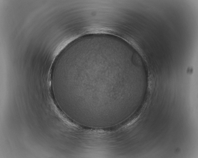 X0000115320885200911161742