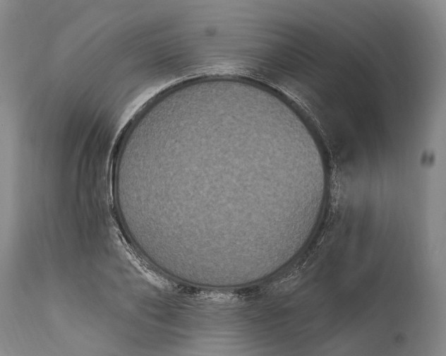 X0000115320886200911161742