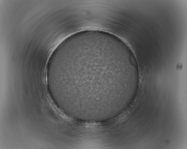 X0000115320887200911161742