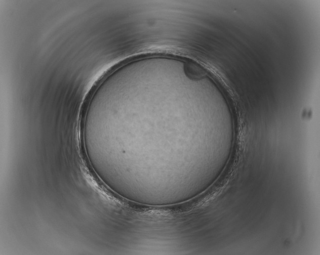 X0000115320888200911161742