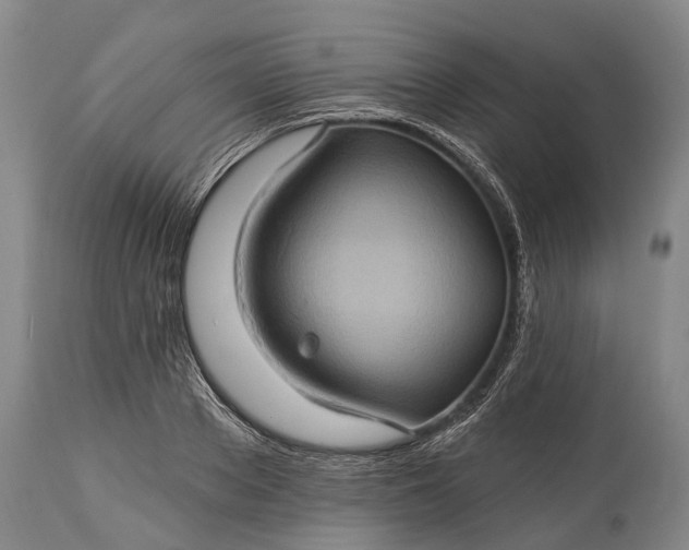 X0000115320889200911161742