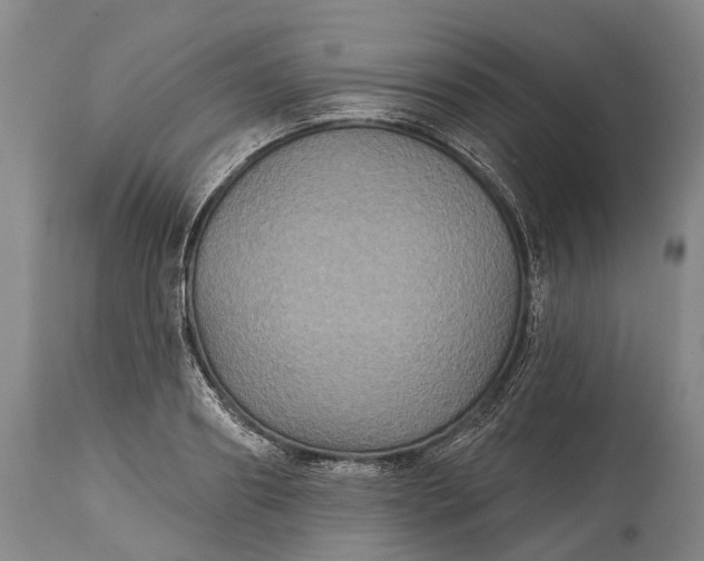 X0000115320890200911161742