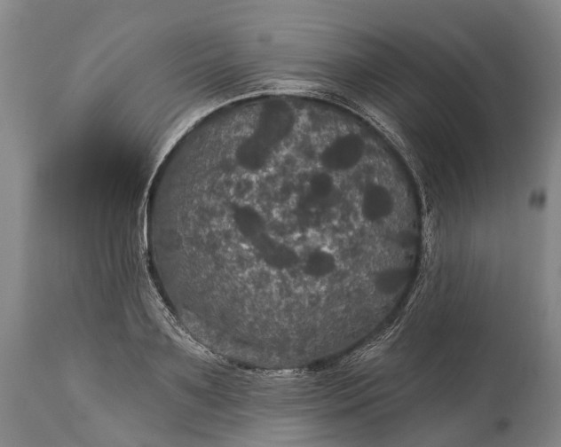 X0000115320891200911161742