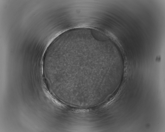 X0000115320892200911161742