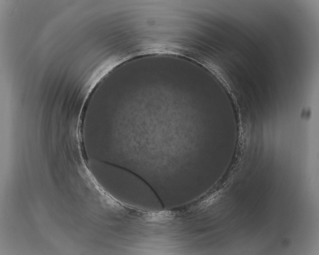 X0000115320893200911161742