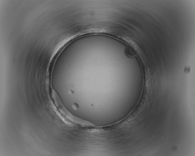 X0000115320894200911161742