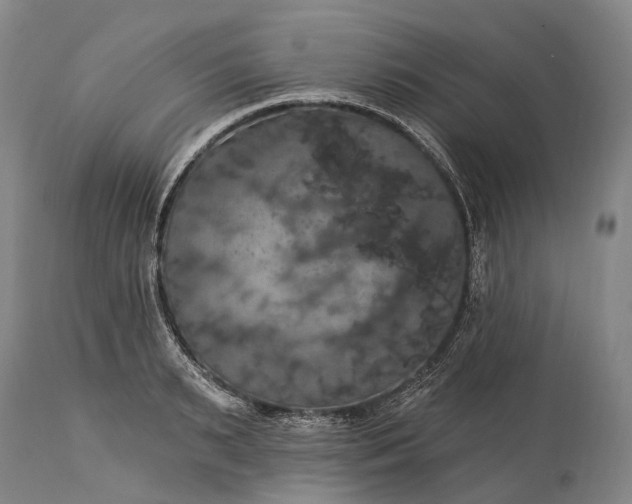 X0000115320895200911161742