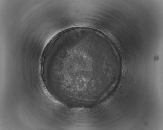 X0000115320896200911161742