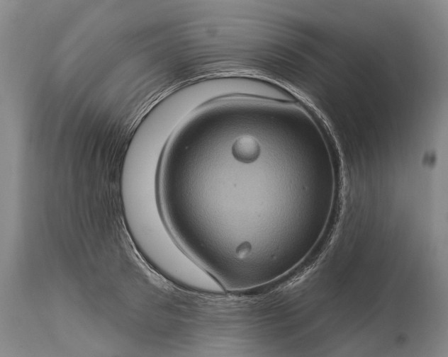 X0000115320897200911161742