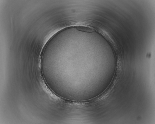 X0000115320900200911161742