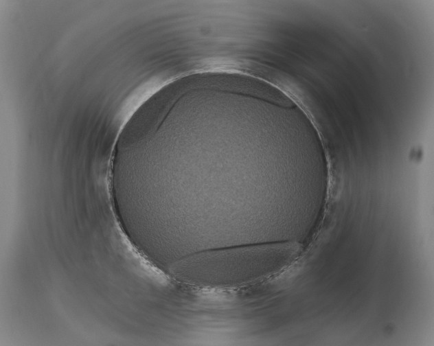 X0000115320901200911161742