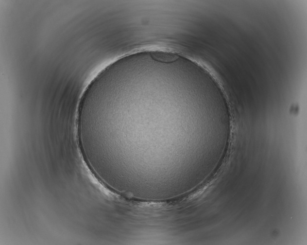 X0000115320902200911161742