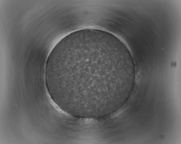 X0000115320903200911161742