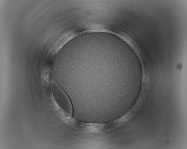 X0000115320905200911161742