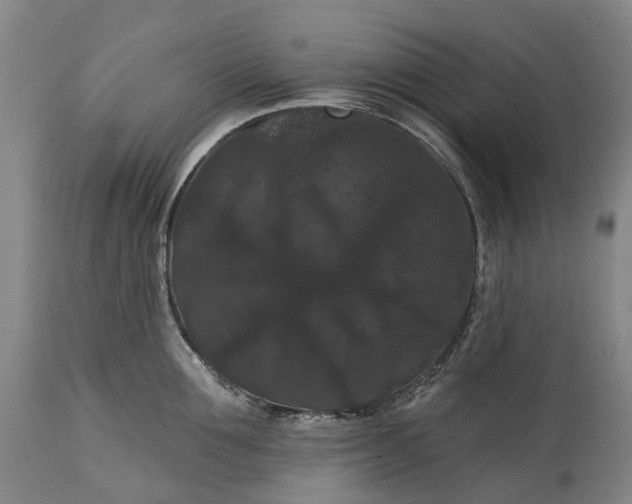 X0000115320907200911161742