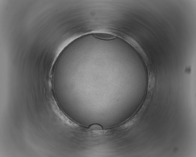 X0000115320908200911161742