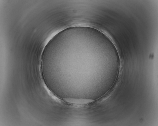 X0000115320909200911161742