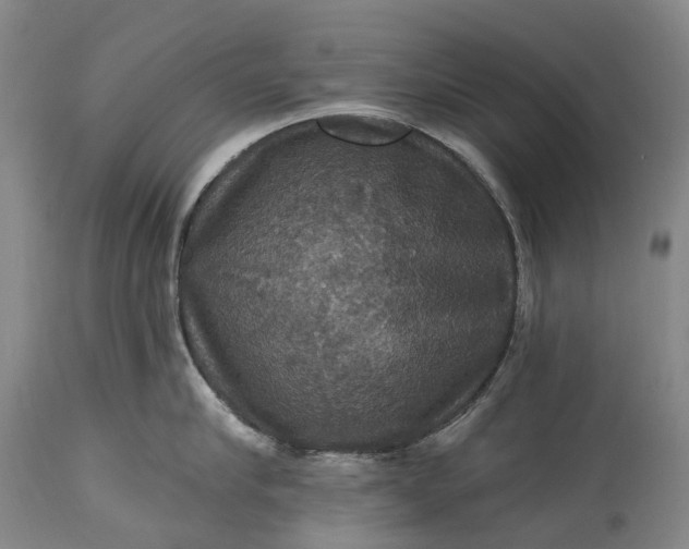 X0000115320910200911161742