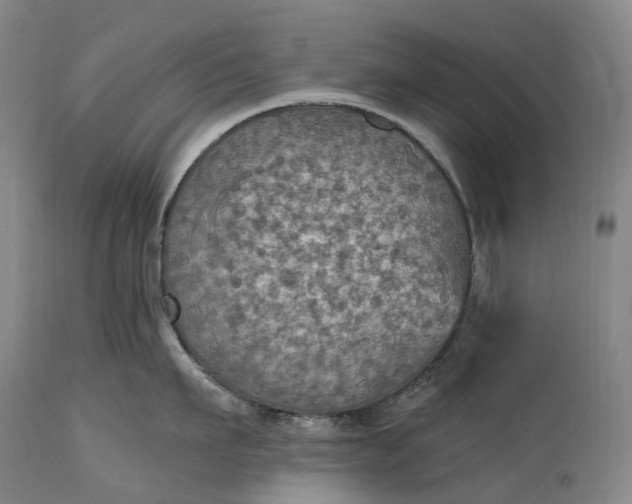 X0000115320911200911161742