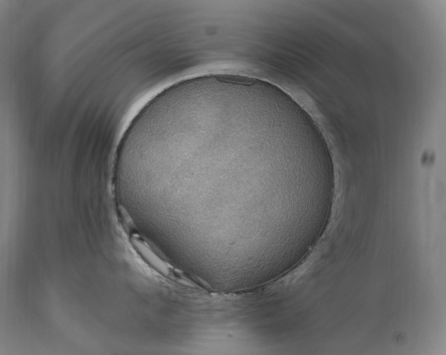 X0000115320912200911161742