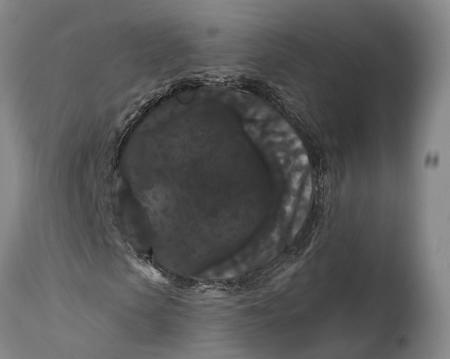 X0000115320913200911161741