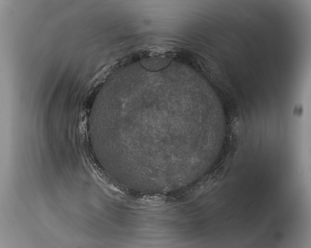 X0000115320914200911161741