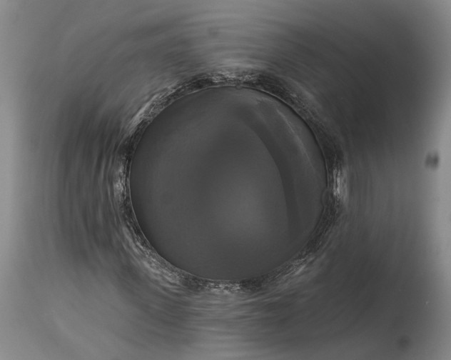 X0000115320915200911161741