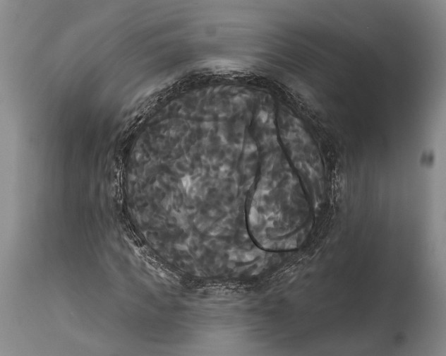 X0000115320917200911161741