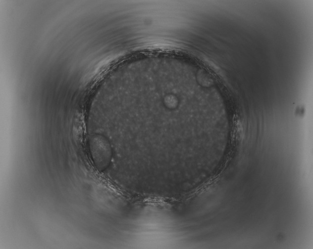 X0000115320918200911161741