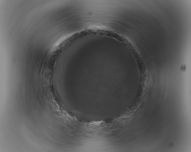 X0000115320919200911161741