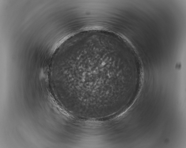 X0000115320921200911161741