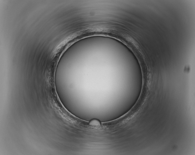 X0000115320922200911161741