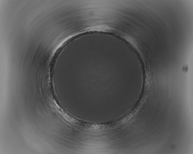 X0000115320923200911161741