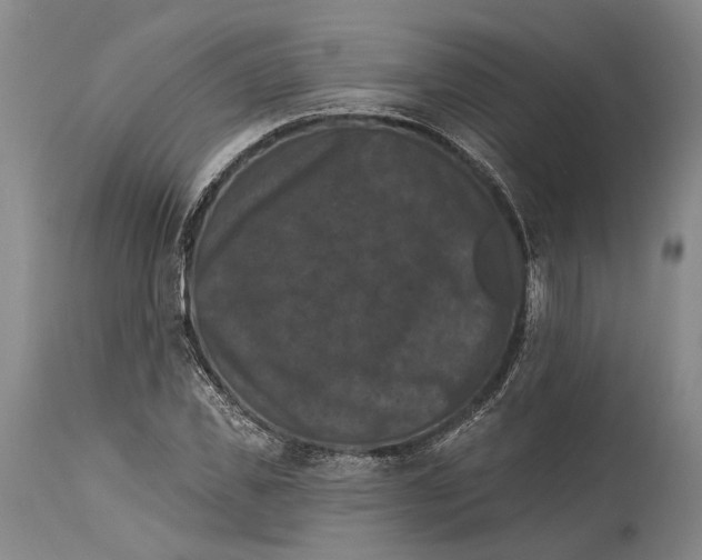 X0000115320925200911161741