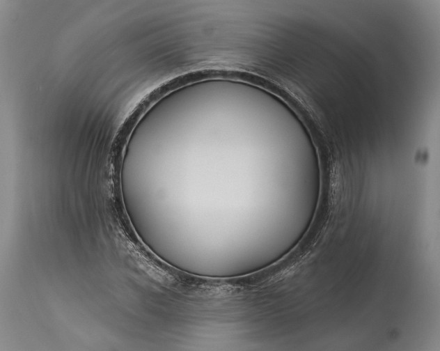 X0000115320926200911161741