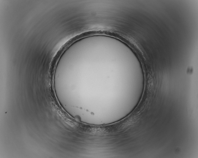 X0000115320927200911161741