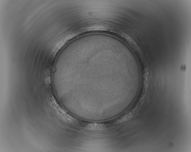 X0000115320929200911161741