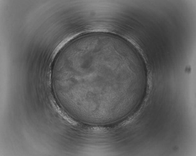 X0000115320933200911161741