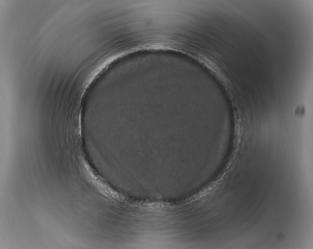 X0000115320934200911161741