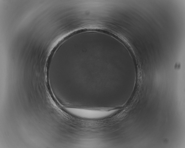 X0000115320935200911161741