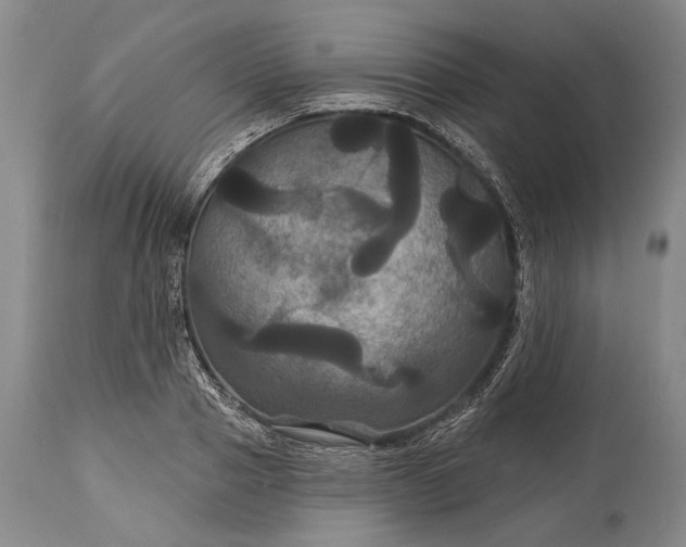 X0000115320937200911161741