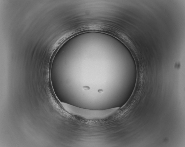 X0000115320938200911161741