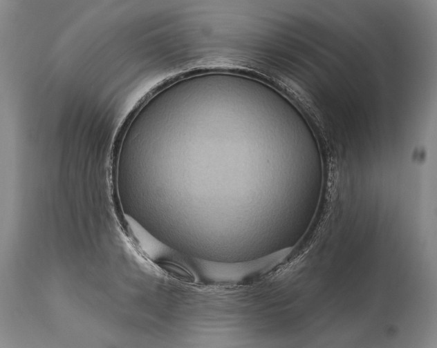 X0000115320942200911161742