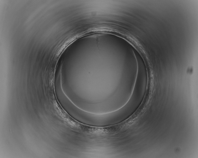 X0000115320945200911161742