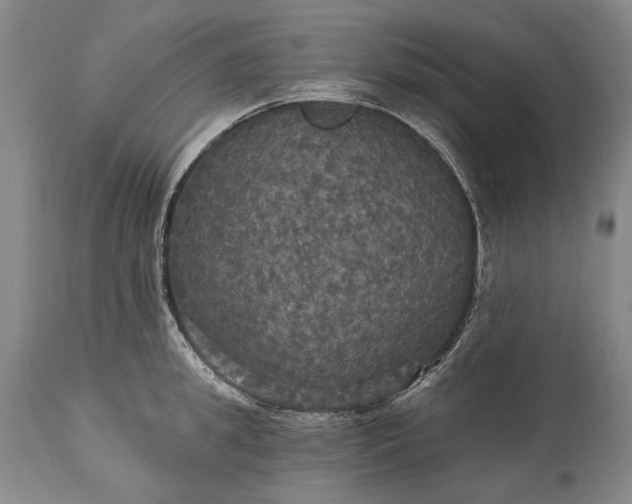 X0000115320949200911161742