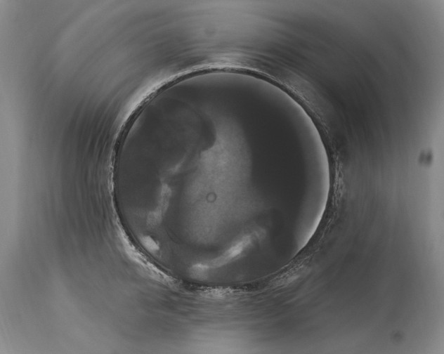 X0000115320950200911161742