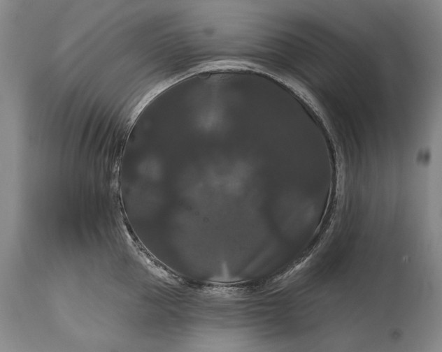 X0000115320953200911161742