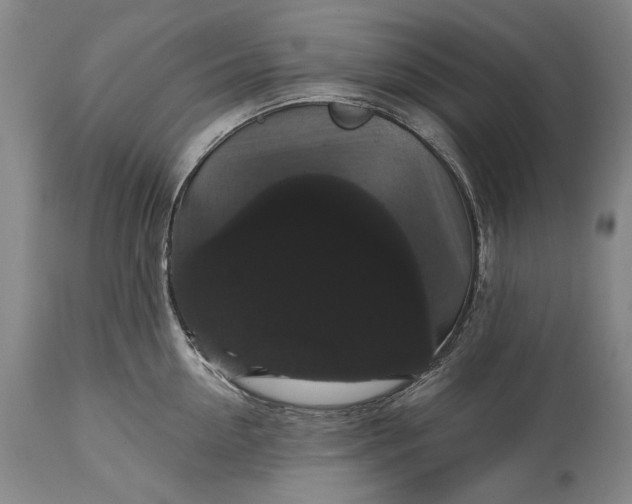 X0000115320954200911161742