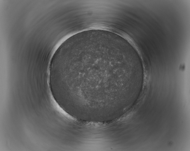 X0000115320955200911161742