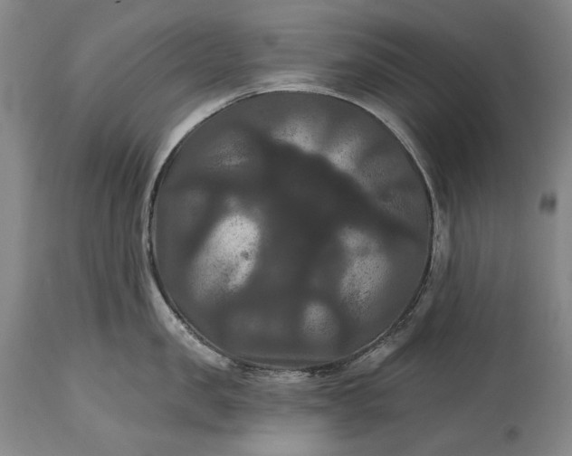 X0000115320957200911161742